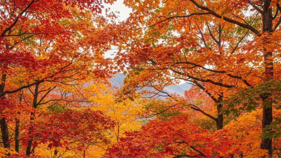 이미지 테스트2 대표 이미지