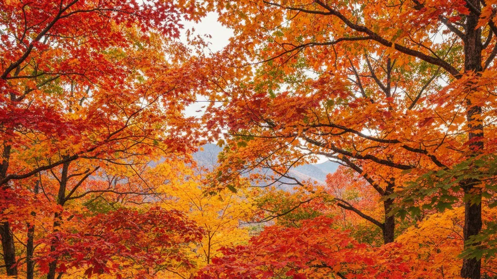 이미지 테스트 대표 이미지