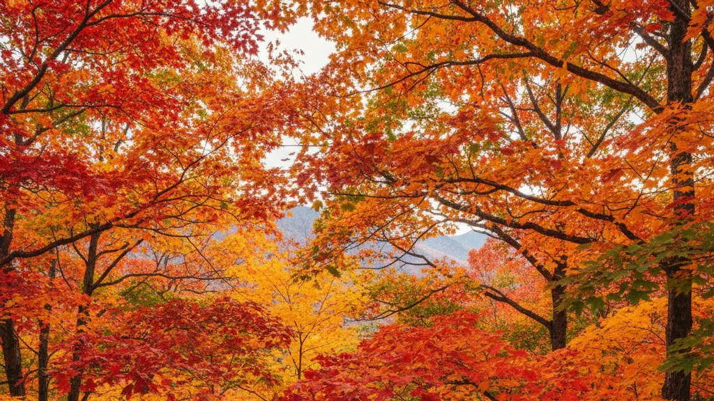 이미지 테스트 대표 이미지